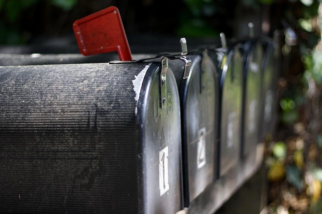 Der Vereins-Newsletter: Direkter Draht zu Mitgliedern und Fans